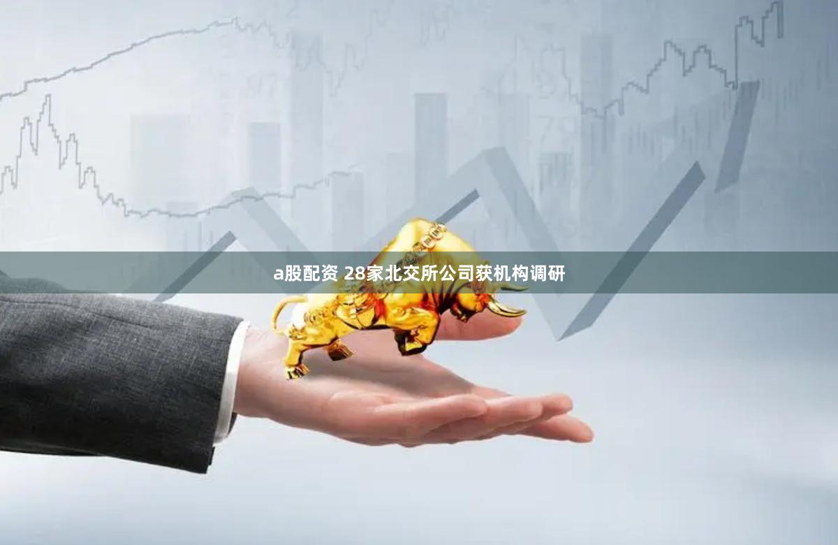 a股配资 28家北交所公司获机构调研