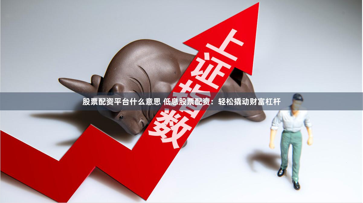 股票配资平台什么意思 低息股票配资：轻松撬动财富杠杆