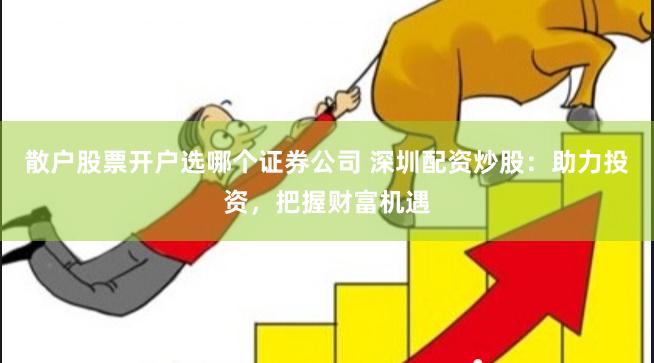 散户股票开户选哪个证券公司 深圳配资炒股：助力投资，把握财富机遇