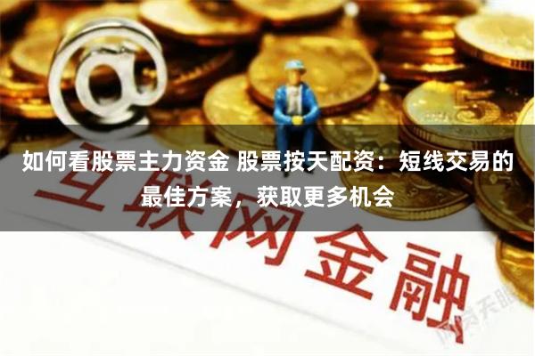如何看股票主力资金 股票按天配资：短线交易的最佳方案，获取更多机会