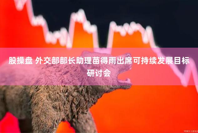 股操盘 外交部部长助理苗得雨出席可持续发展目标研讨会
