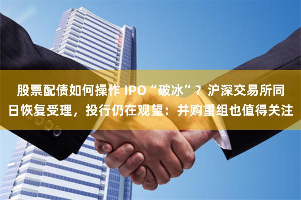 股票配债如何操作 IPO“破冰”？沪深交易所同日恢复受理，投行仍在观望：并购重组也值得关注